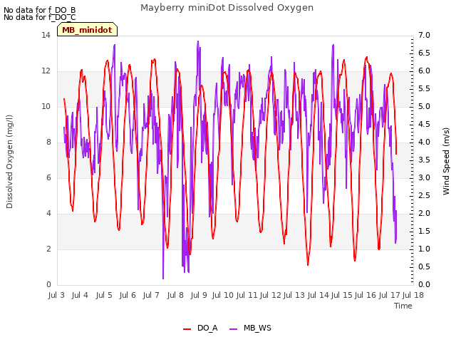 plot of Mayberry miniDot Dissolved Oxygen