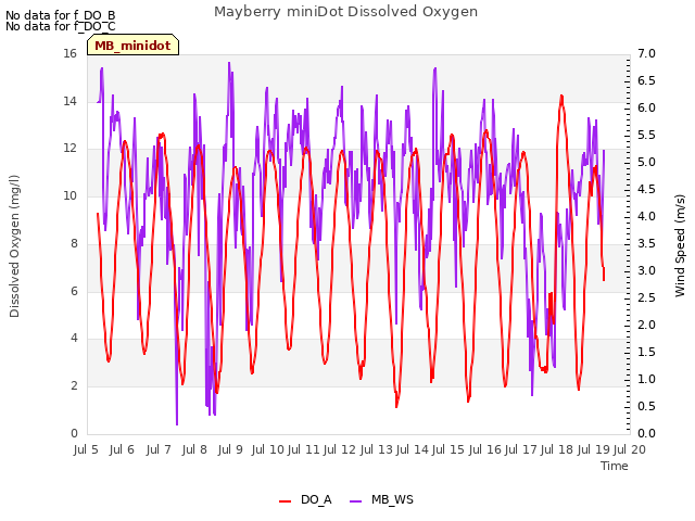 plot of Mayberry miniDot Dissolved Oxygen