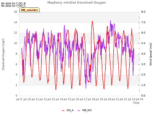 plot of Mayberry miniDot Dissolved Oxygen