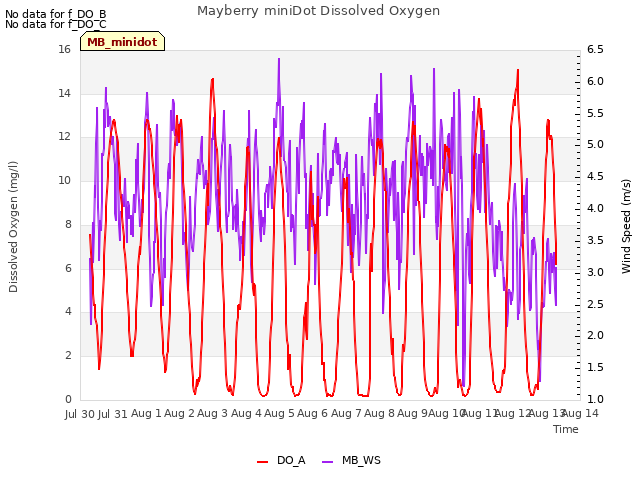 plot of Mayberry miniDot Dissolved Oxygen