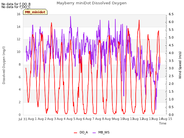 plot of Mayberry miniDot Dissolved Oxygen