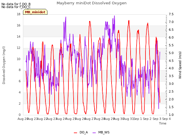 plot of Mayberry miniDot Dissolved Oxygen