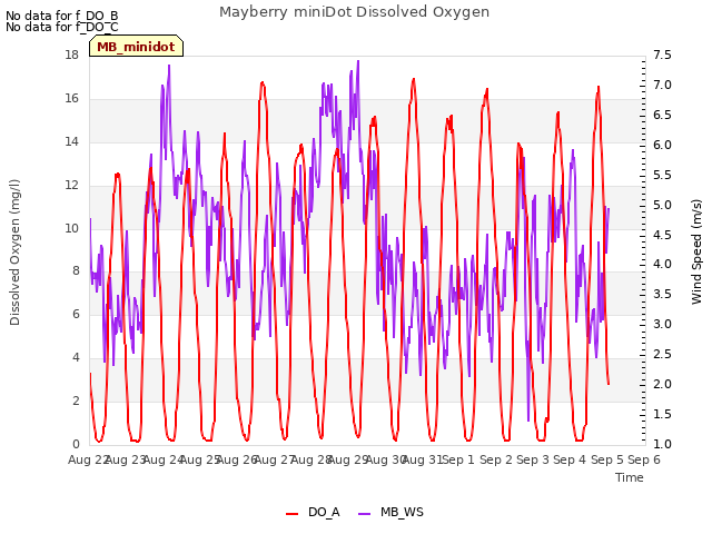 plot of Mayberry miniDot Dissolved Oxygen