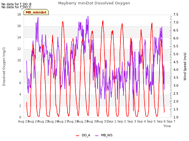 plot of Mayberry miniDot Dissolved Oxygen