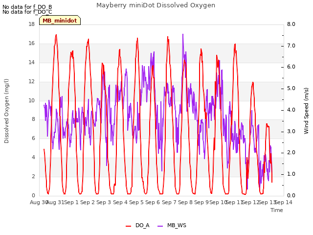 plot of Mayberry miniDot Dissolved Oxygen