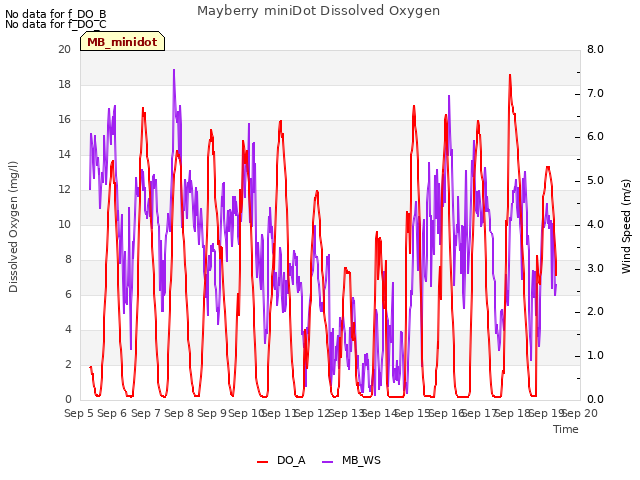 plot of Mayberry miniDot Dissolved Oxygen