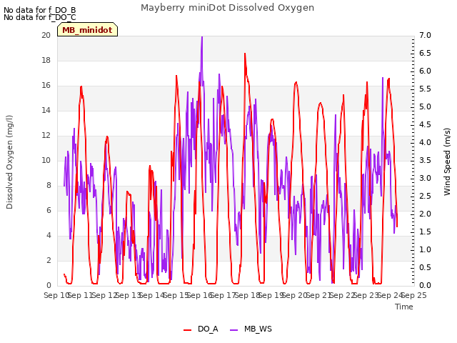 plot of Mayberry miniDot Dissolved Oxygen