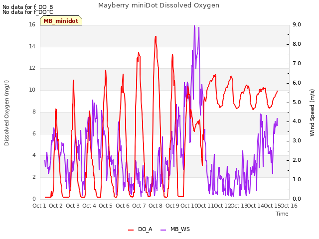 plot of Mayberry miniDot Dissolved Oxygen