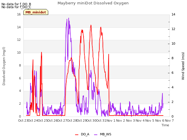 plot of Mayberry miniDot Dissolved Oxygen