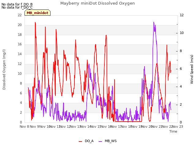 plot of Mayberry miniDot Dissolved Oxygen