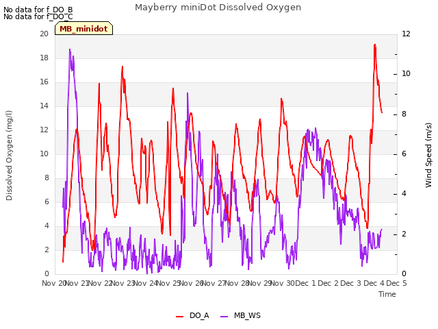 plot of Mayberry miniDot Dissolved Oxygen