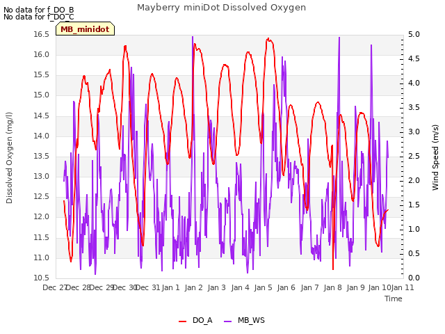 plot of Mayberry miniDot Dissolved Oxygen