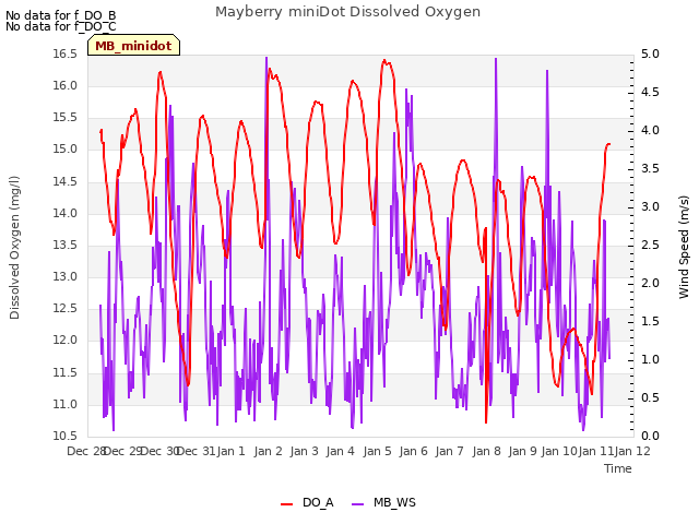 plot of Mayberry miniDot Dissolved Oxygen