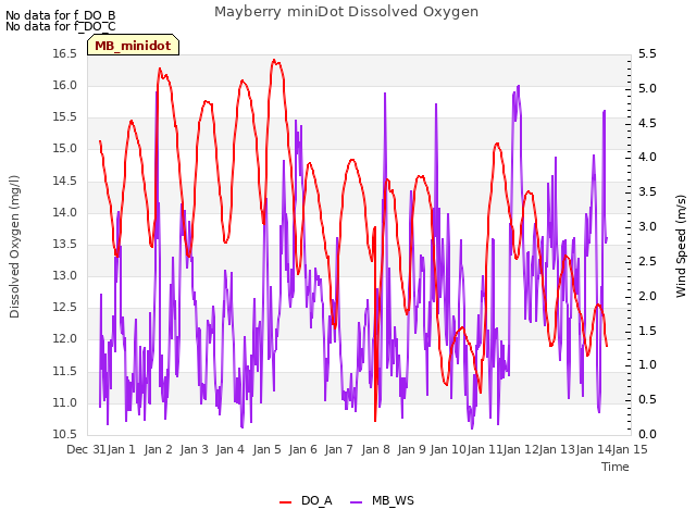 plot of Mayberry miniDot Dissolved Oxygen