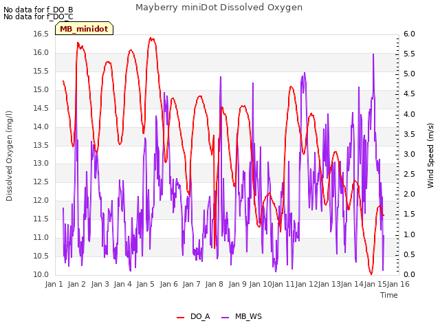 plot of Mayberry miniDot Dissolved Oxygen