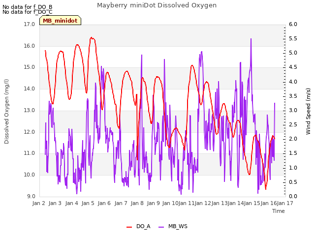 plot of Mayberry miniDot Dissolved Oxygen