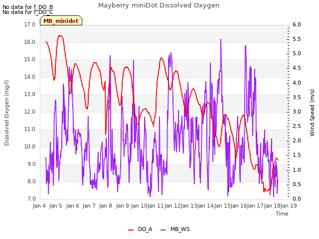 plot of Mayberry miniDot Dissolved Oxygen