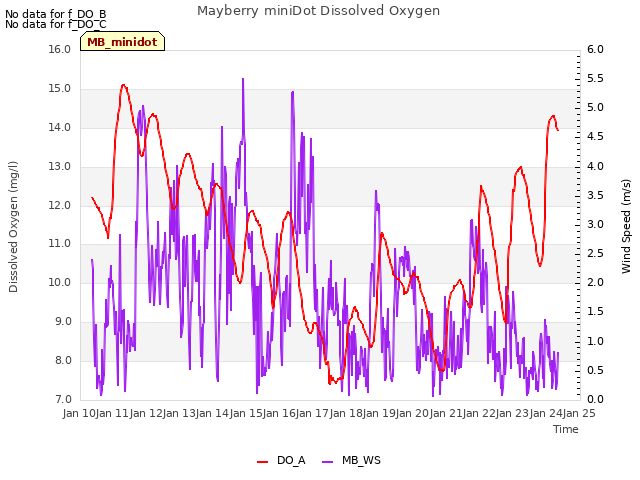 plot of Mayberry miniDot Dissolved Oxygen