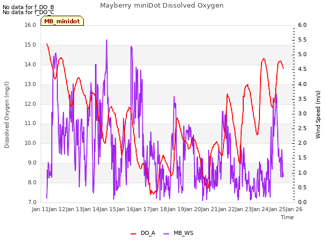 plot of Mayberry miniDot Dissolved Oxygen