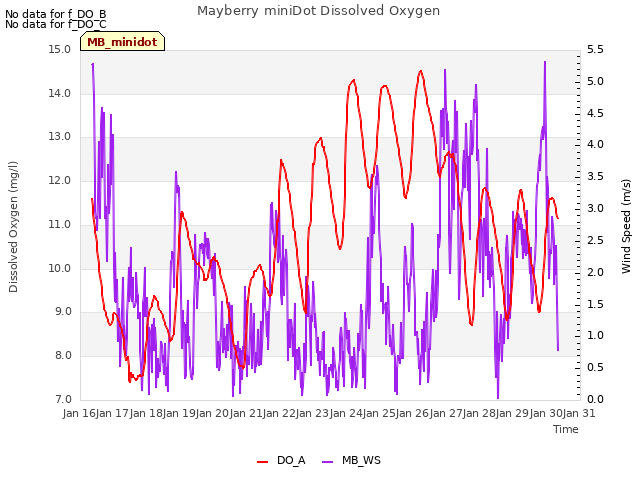plot of Mayberry miniDot Dissolved Oxygen