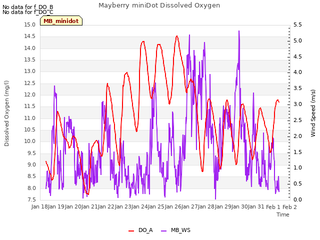 plot of Mayberry miniDot Dissolved Oxygen