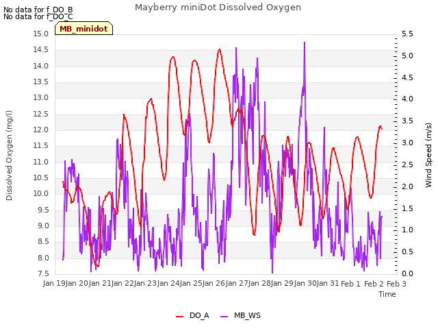 plot of Mayberry miniDot Dissolved Oxygen