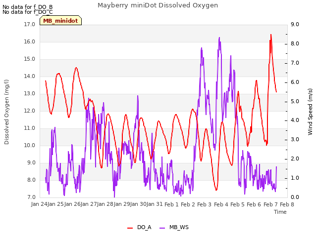 plot of Mayberry miniDot Dissolved Oxygen