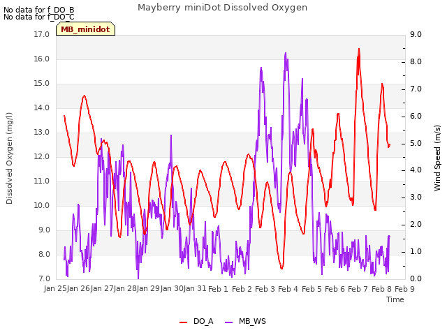 plot of Mayberry miniDot Dissolved Oxygen