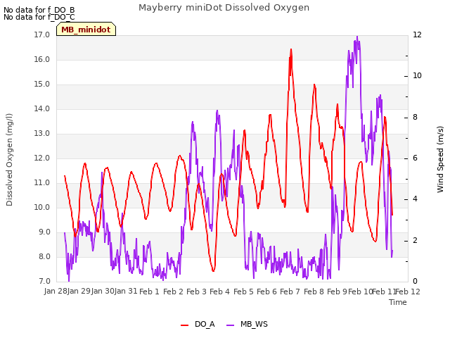 plot of Mayberry miniDot Dissolved Oxygen