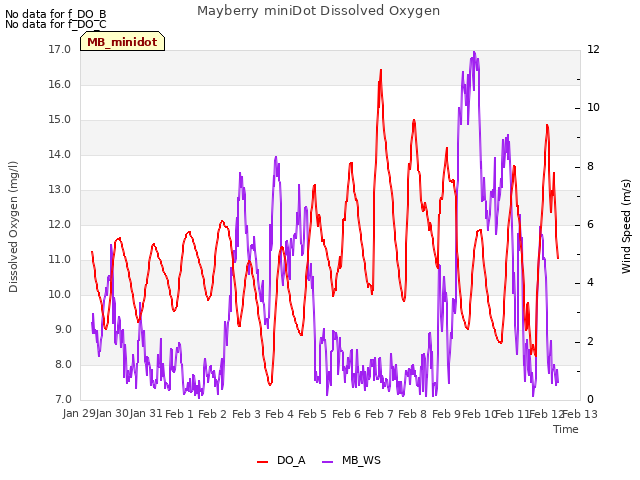 plot of Mayberry miniDot Dissolved Oxygen