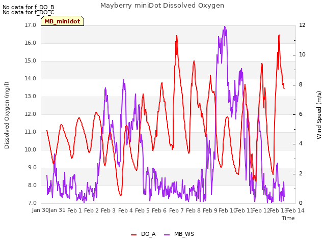plot of Mayberry miniDot Dissolved Oxygen
