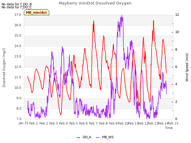 plot of Mayberry miniDot Dissolved Oxygen