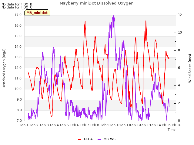 plot of Mayberry miniDot Dissolved Oxygen