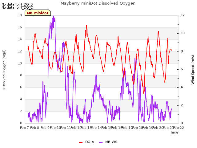 plot of Mayberry miniDot Dissolved Oxygen