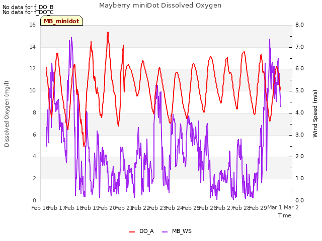 plot of Mayberry miniDot Dissolved Oxygen