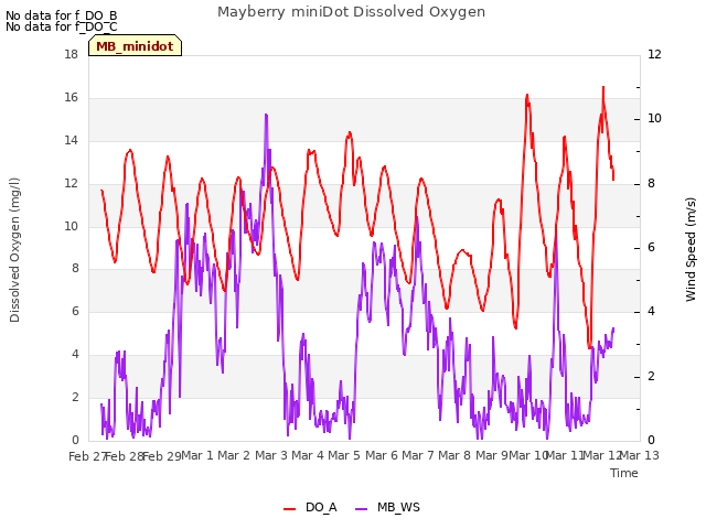 plot of Mayberry miniDot Dissolved Oxygen