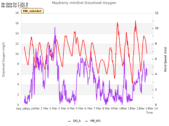 plot of Mayberry miniDot Dissolved Oxygen