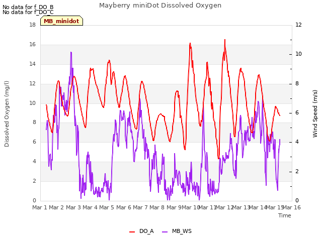 plot of Mayberry miniDot Dissolved Oxygen