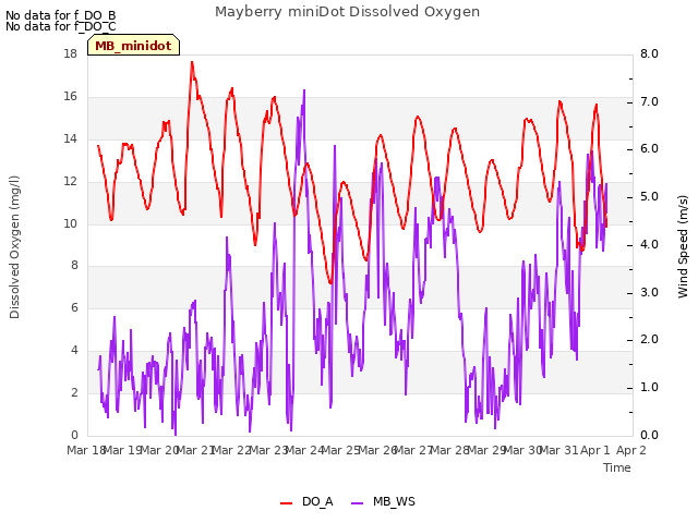 plot of Mayberry miniDot Dissolved Oxygen