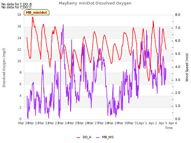 plot of Mayberry miniDot Dissolved Oxygen