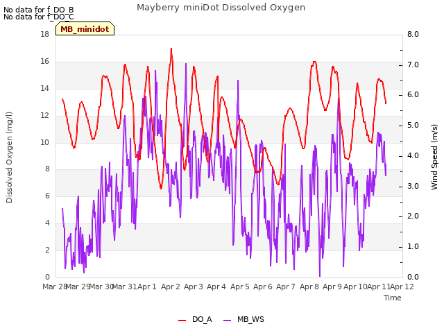 plot of Mayberry miniDot Dissolved Oxygen