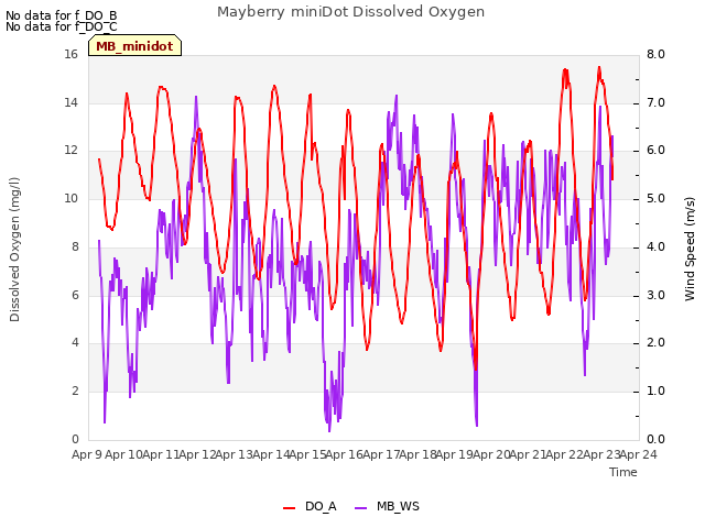 plot of Mayberry miniDot Dissolved Oxygen