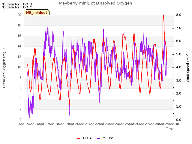 plot of Mayberry miniDot Dissolved Oxygen