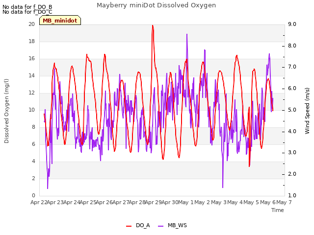 plot of Mayberry miniDot Dissolved Oxygen