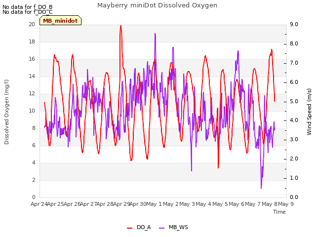 plot of Mayberry miniDot Dissolved Oxygen