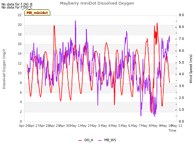 plot of Mayberry miniDot Dissolved Oxygen