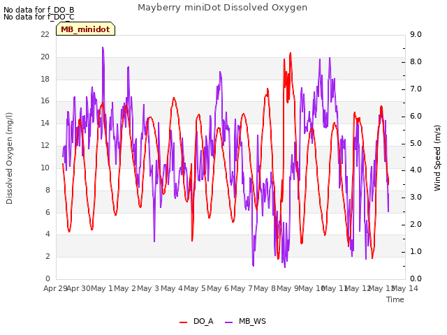 plot of Mayberry miniDot Dissolved Oxygen