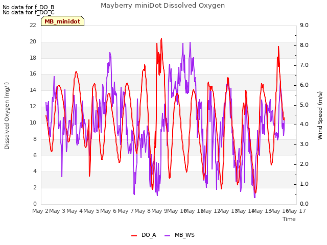 plot of Mayberry miniDot Dissolved Oxygen