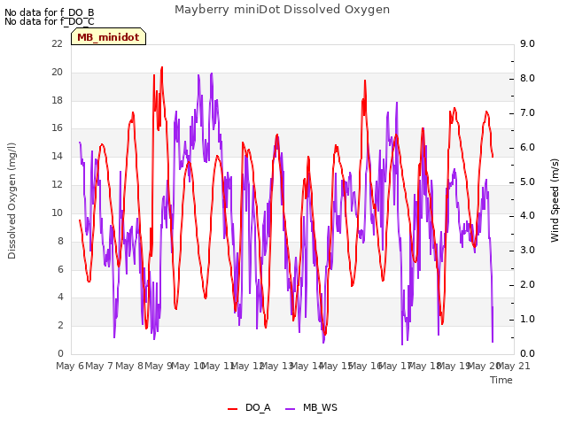 plot of Mayberry miniDot Dissolved Oxygen