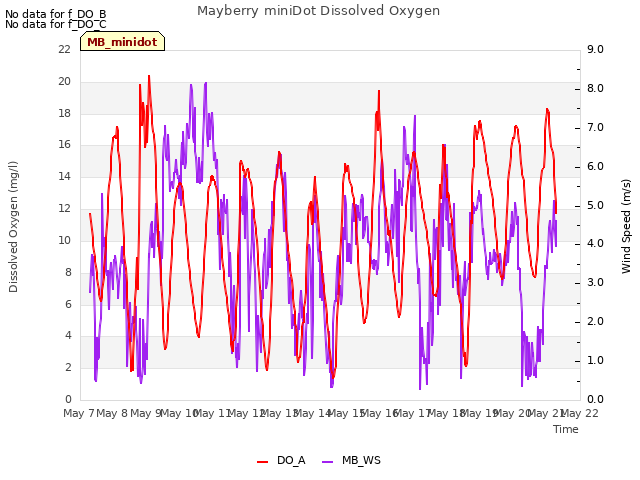 plot of Mayberry miniDot Dissolved Oxygen